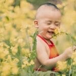 child, boy, flower background, flowers, meadow, cute, flower wallpaper, kid, young, childhood, baby, toddler, posing, portrait, child, child, baby, baby, beautiful flowers, baby, nature, baby, baby