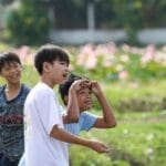 children, boys, play, kite, kite flying, young, childhood, friends, field, children, friends, friends, friends, friends, friends