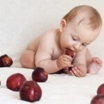 baby, kid, small child, childhood, kids, people, emotions, photo, photographing children, portrait, apples, child eating apples, baby, baby, baby, baby, baby, kids, kids