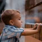 boy, excited, looking, fence, rodeo, child, boy, boy, boy, looking, looking, rodeo, rodeo, child, child, child, child, child