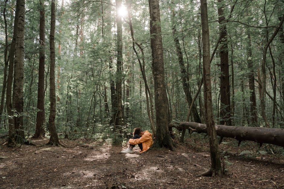 A child in a yellow jacket sits alone in a serene, sunlit forest, surrounded by tall trees.