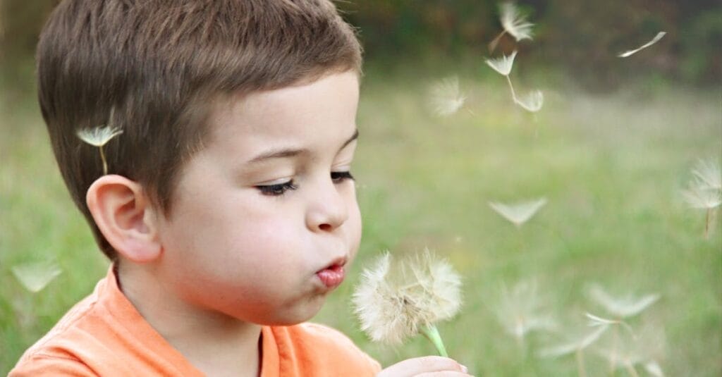 A young boy blowing dandelion seeds in a sunny park, capturing innocence.