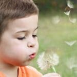 A young boy blowing dandelion seeds in a sunny park, capturing innocence.