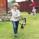 A young boy and playful dog running joyfully in a grassy backyard on a sunny day.