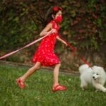 Young girl in red dress walking two dogs on leashes in a vibrant park setting.