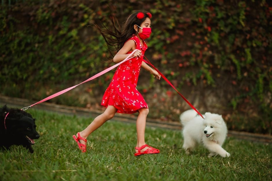 Young girl in red dress walking two dogs on leashes in a vibrant park setting.