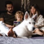 Family and dog enjoying quality time together on bed indoors.