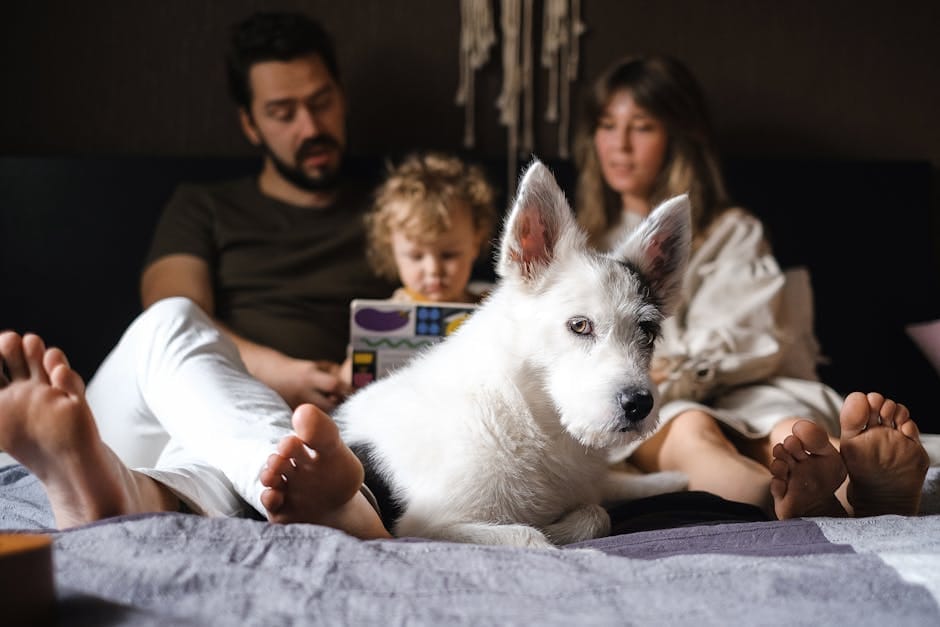 Family and dog enjoying quality time together on bed indoors.