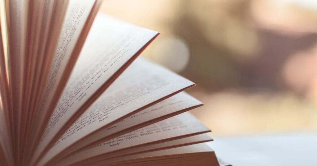 Close-up view of an open book with pages fanned out against a soft blurred background.