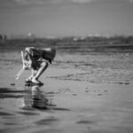 Free stock photo of beach activites, monochromatic, monochromatic tones