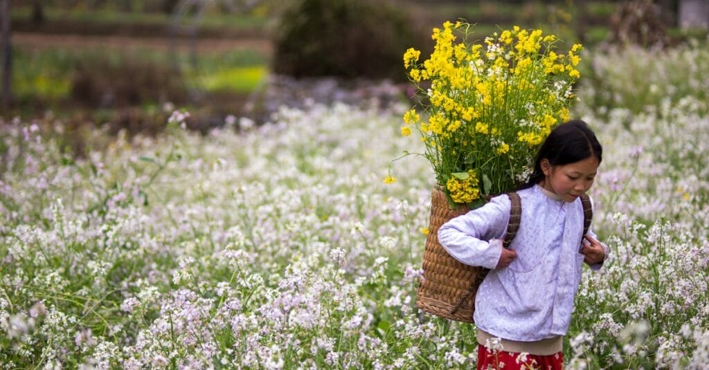 Ha Giang Feb 2025