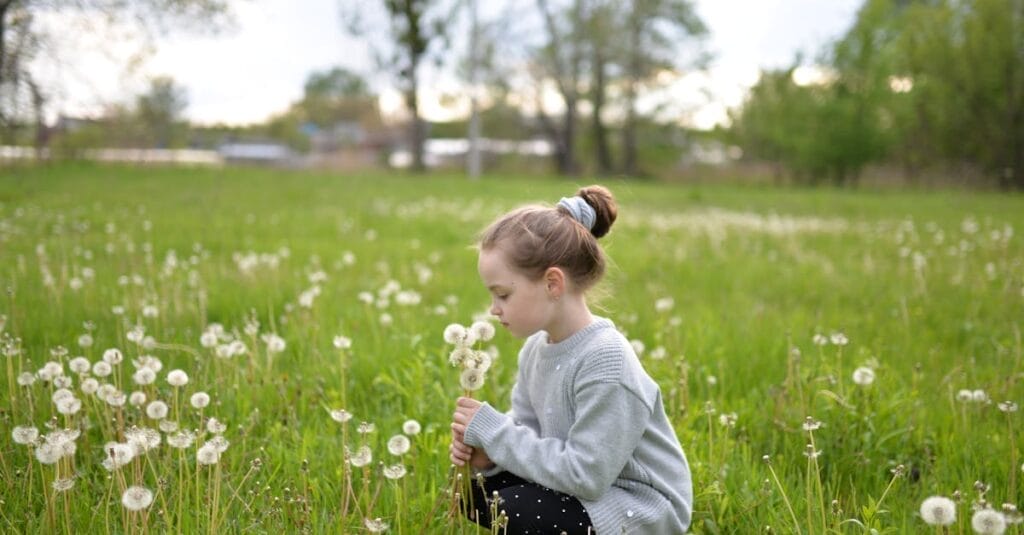 A girl sits in a field of dandelions, blowing on them during a sunny day.