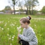 A girl sits in a field of dandelions, blowing on them during a sunny day.