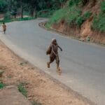 Children enjoying outdoor play on a winding rural road, surrounded by lush greenery.